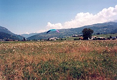 1996 - Organya 15 (Seu d'Urgell)